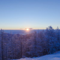 雲取山の冬景色、霧氷の木々と薄明の朝焼けの写真