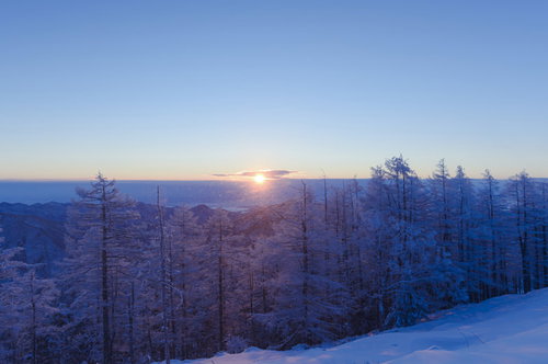 雲取山の冬景色、霧氷の木々と薄明の朝焼け