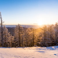 黄金色の朝日が照らす日本百名山・雲取山の雪景色と樹氷の写真