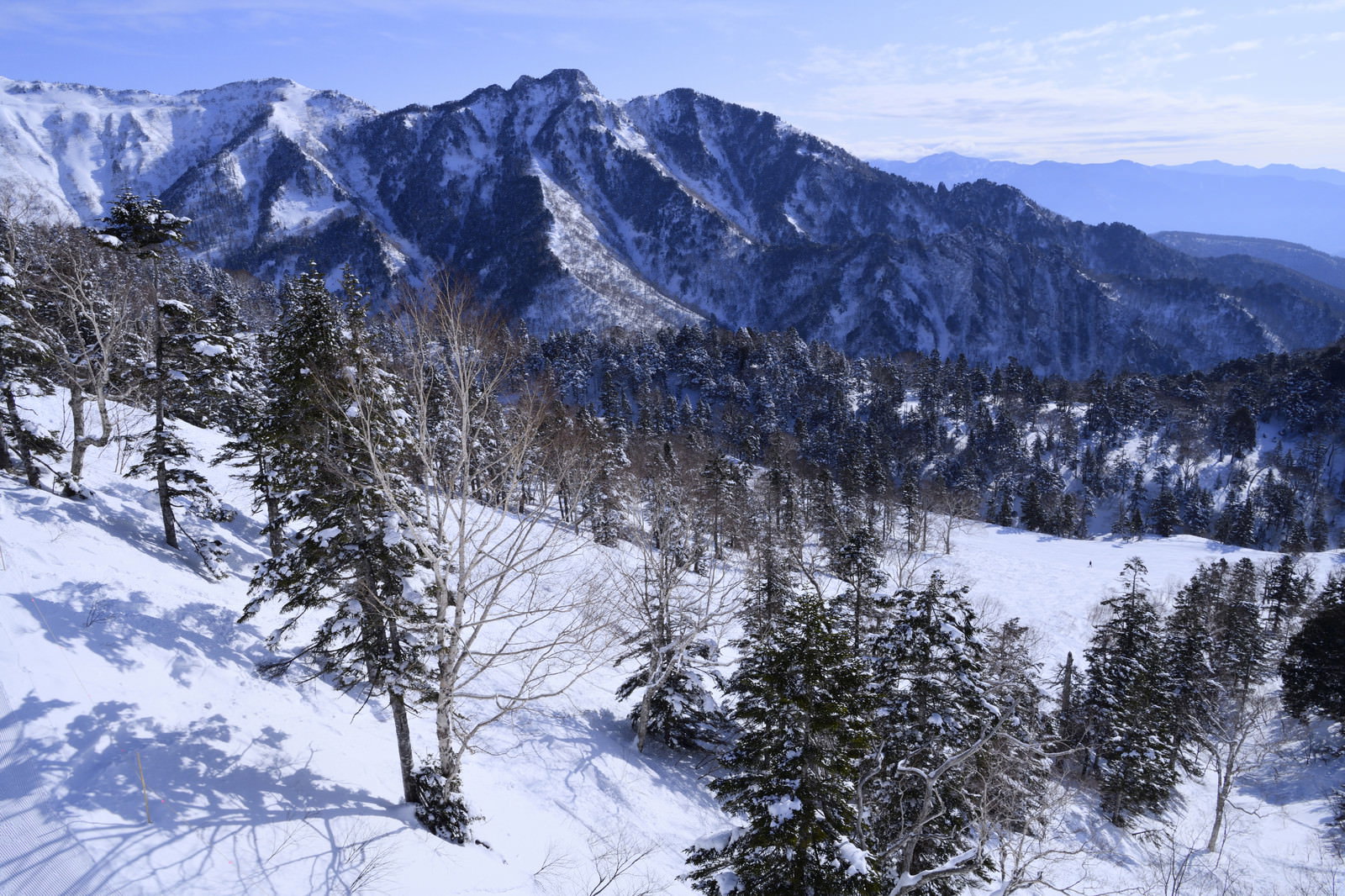 雪に覆われた上州武尊山の山稜と針葉樹が織りなす冬山風景