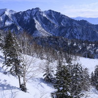 白く雪化粧した上州武尊山の冬の山々と針葉樹林の写真