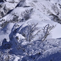 樹氷に覆われた上州武尊山の冬季山容の写真
