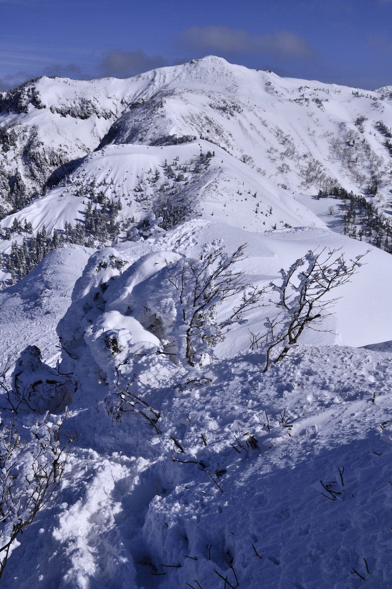雪に覆われた上州武尊山の山容、青空の下で白く輝く山肌