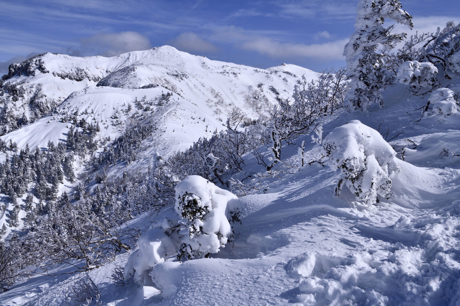青空の下で樹氷と雪化粧に覆われた上州武尊山の冬景色