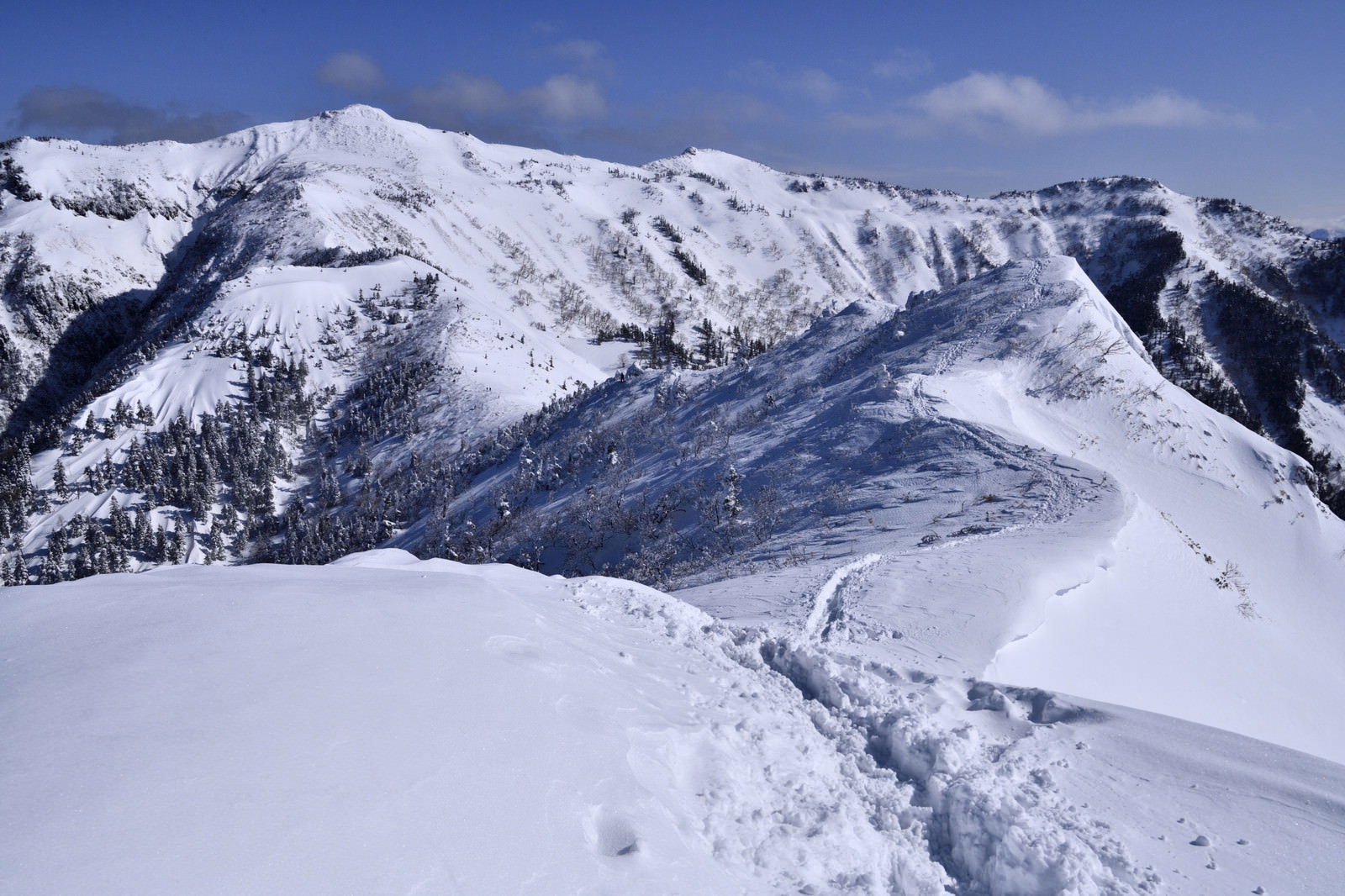 雪に覆われた上州武尊山の登山道に続く登山者の足跡