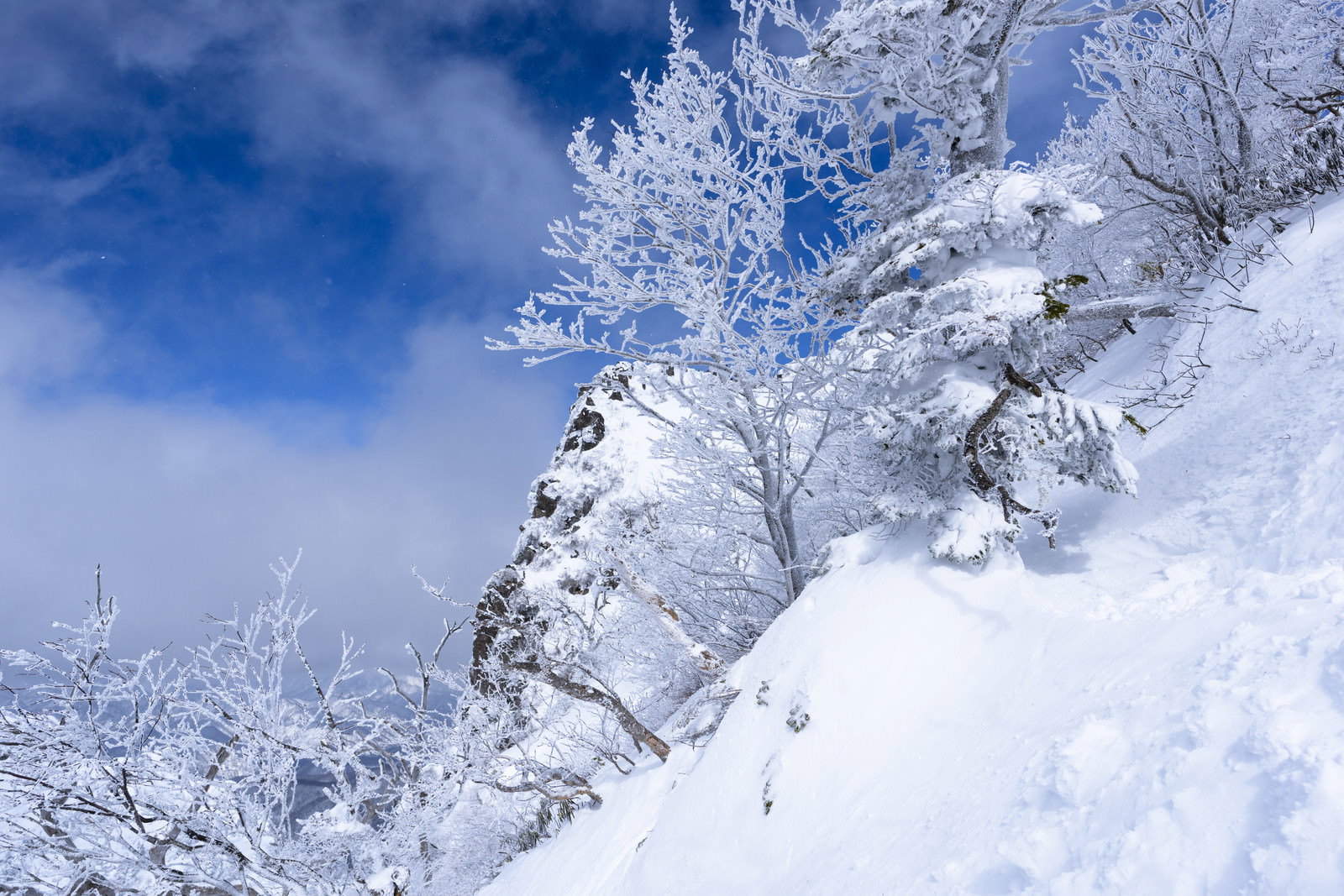 青空の下、霧氷に覆われた木々と雪化粧した上州武尊山の冬景色