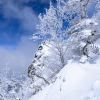 霧氷生い茂る上州武尊山の冬景色の写真