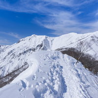 新雪の中につけられたトレース（谷川岳）の写真