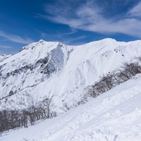 谷川主脈の稜線と雪山の急斜面の写真