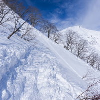 谷川岳の雪山登山道に続く登山者のトレースの写真