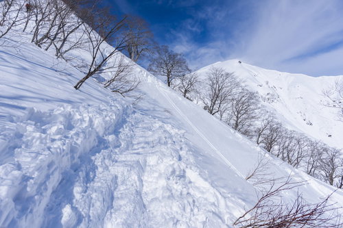 谷川岳の雪山登山道に続く登山者のトレース