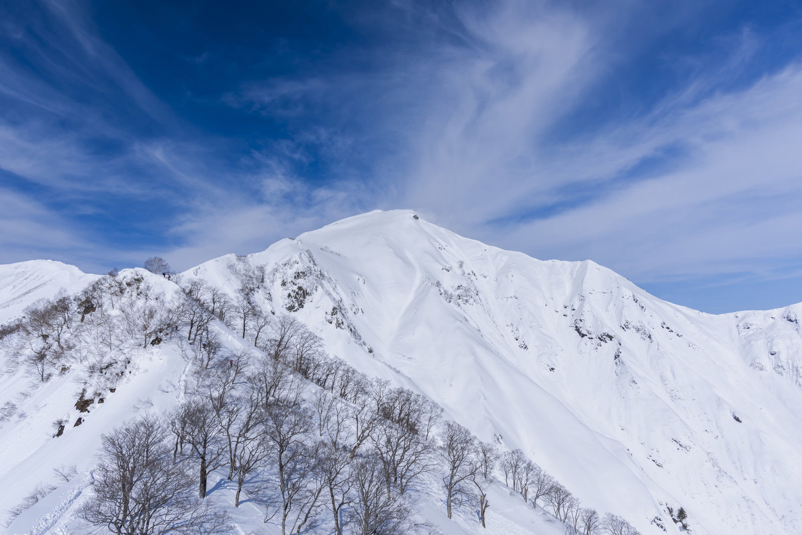 青空を背景に雪化粧した谷川岳の山頂が白く輝いている