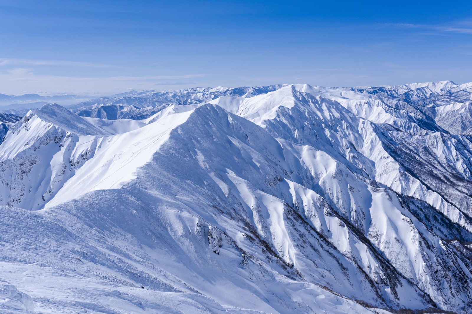 谷川岳主脈の雪の稜線と冬の山並み
