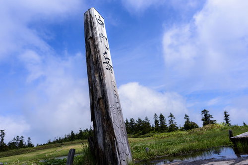 会津駒ヶ岳の中門岳付近に立つ木製の指導標