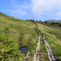 会津駒ヶ岳の山頂へと続く木道と青空の風景の写真