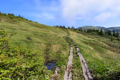 会津駒ヶ岳の山頂へと続く木道と青空の風景