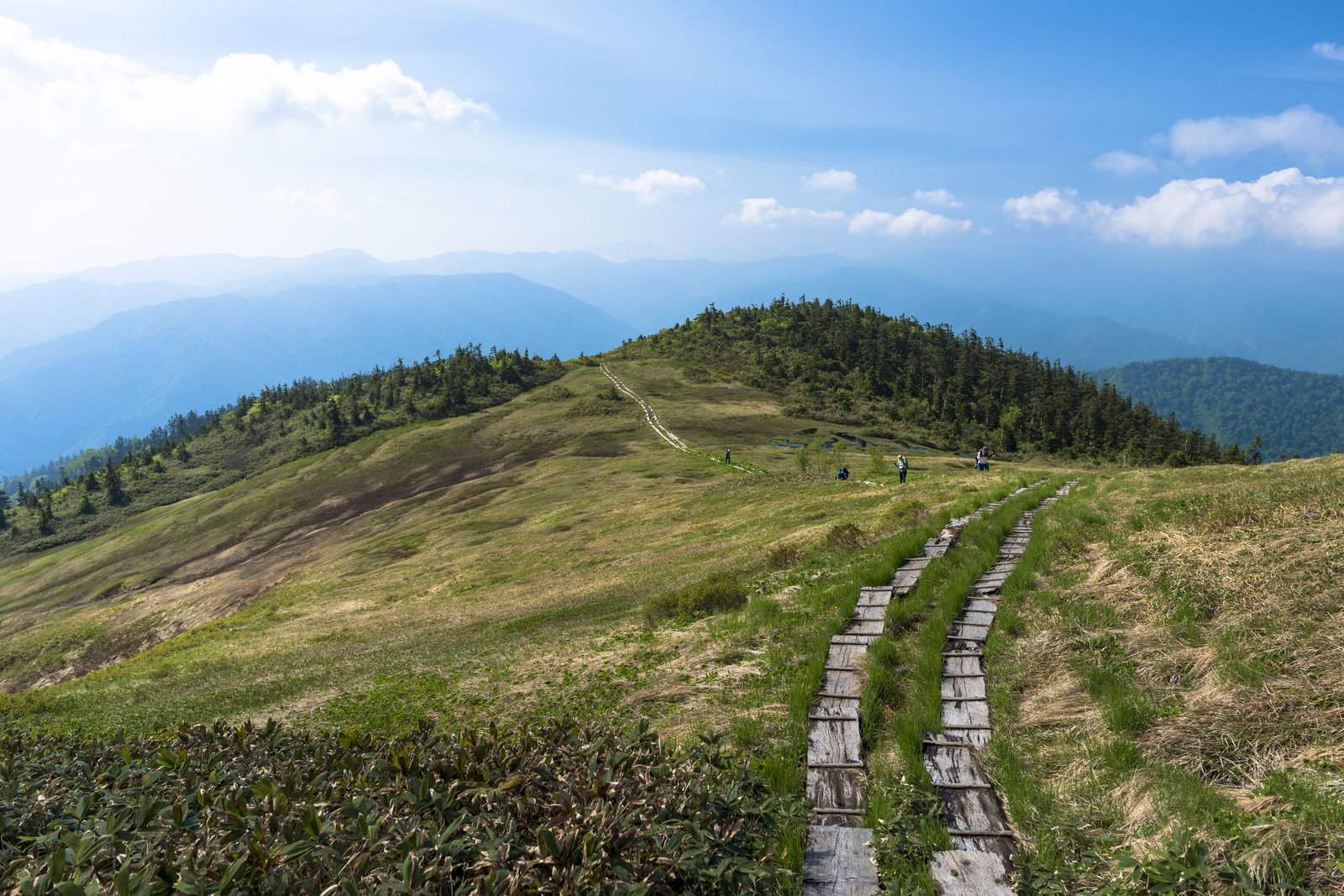 会津駒ヶ岳の稜線に敷かれた木道と青空が広がる高原風景