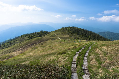 会津駒ヶ岳の稜線を歩む木道と青空の高原風景