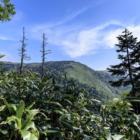 木々の間から見える会津駒ヶ岳の稜線と青空の写真