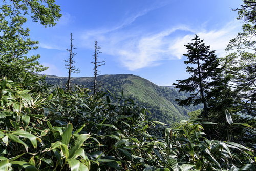 木々の間から見える会津駒ヶ岳の稜線と青空