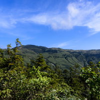 登山道から見上げる会津駒ヶ岳の山並みと緑の木々の写真
