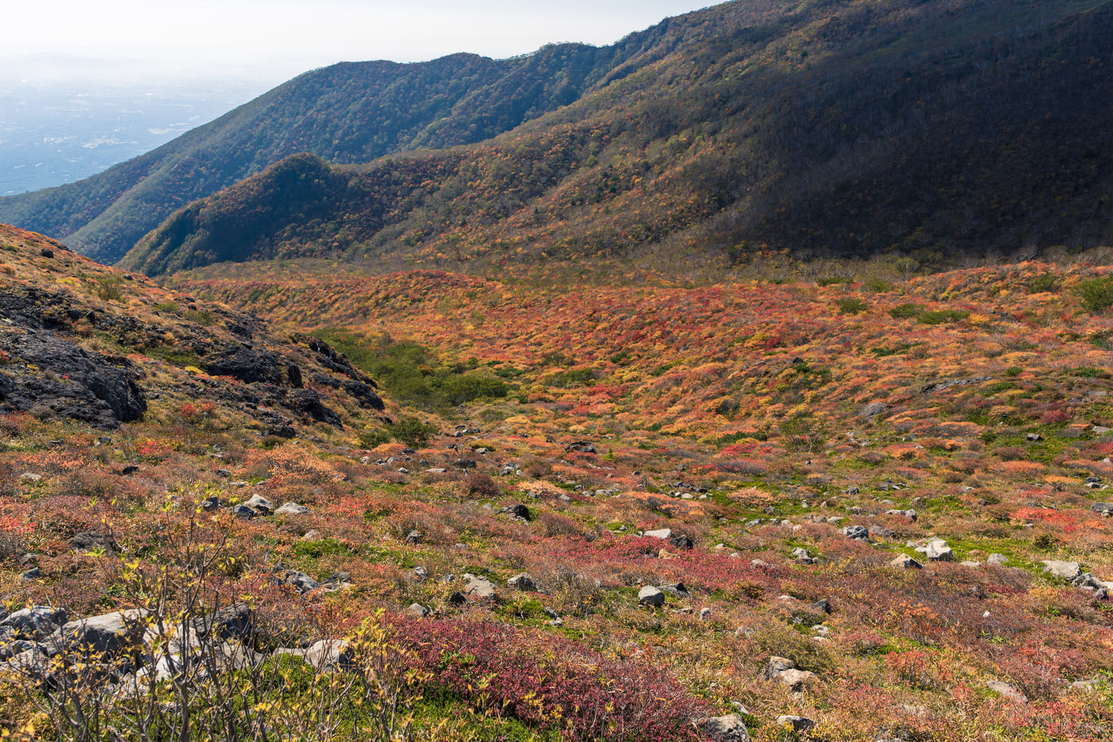 那須岳の牛ヶ首へ続く登山道に広がる赤とオレンジの紅葉風景