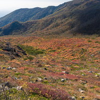 牛ヶ首へと向かう登山道に広がる秋の紅葉風景（那須岳）の写真