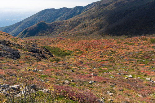 牛ヶ首へと向かう登山道に広がる秋の紅葉風景（那須岳）