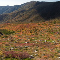 紅葉に染まる那須茶臼岳中腹の秋の風景の写真