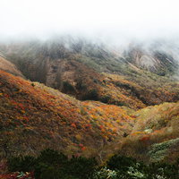 錦の紅葉に染まる那須岳中腹の渓谷と秋の霧景の写真