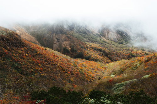 錦の紅葉に染まる那須岳中腹の渓谷と秋の霧景
