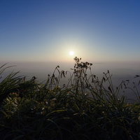 鳥海山の山頂で朝日を待つ木々のシルエットの写真