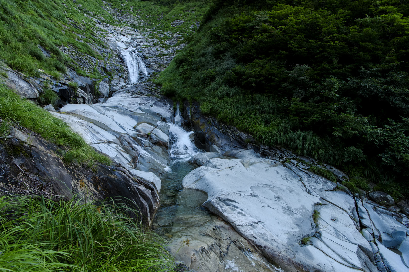 巻機山のヌクビ沢で苔むした岩場を流れる渓流の風景