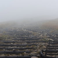 どこまでも続くような錯覚を覚えるガスの丸太階段（巻機山・天狗岩）の写真