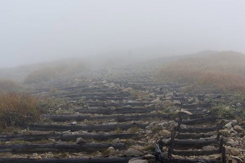 どこまでも続くような錯覚を覚えるガスの丸太階段（巻機山・天狗岩）