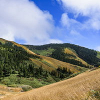 緑の森に覆われたなだらかな丘が続く巻機山の稜線の写真