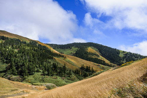 緑の森に覆われたなだらかな丘が続く巻機山の稜線