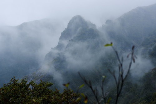 ガスに包まれる巻機山の天狗岩 - 日本百名山の雄大な岩壁