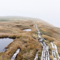 霧の奥へと続く木道（巻機山・日本百名山）の写真
