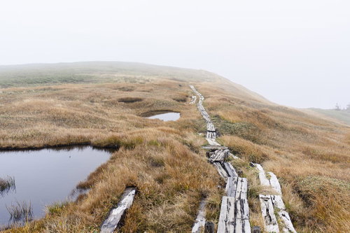 霧の奥へと続く木道（巻機山・日本百名山）