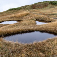 ジャックランタンのような顔の池塘、巻機山の高山湿原の写真