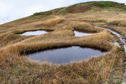 ジャックランタンのような顔の池塘、巻機山の高山湿原