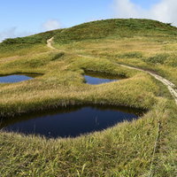 優しく微笑む池塘が点在する巻機山の湿原と木道の写真