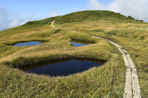 優しく微笑む池塘が点在する巻機山の湿原と木道