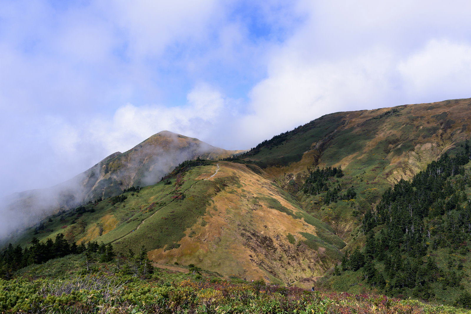 雲がかかる緑の山肌と稜線が美しい割引山と巻機山