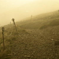ガスに包まれた巻機山の登山道に差し込む光の写真