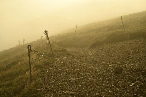ガスに包まれた巻機山の登山道に差し込む光