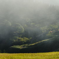 夕日に照らされるテントと輝く草紅葉が広がる巻機山の山間の写真