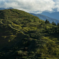 夕日に色づく牧歌的な登山道、巻機山の日本百名山の写真