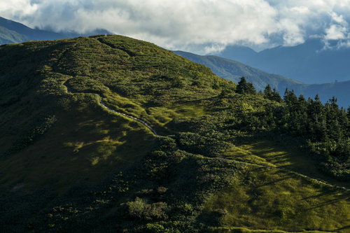 夕日に色づく牧歌的な登山道、巻機山の日本百名山